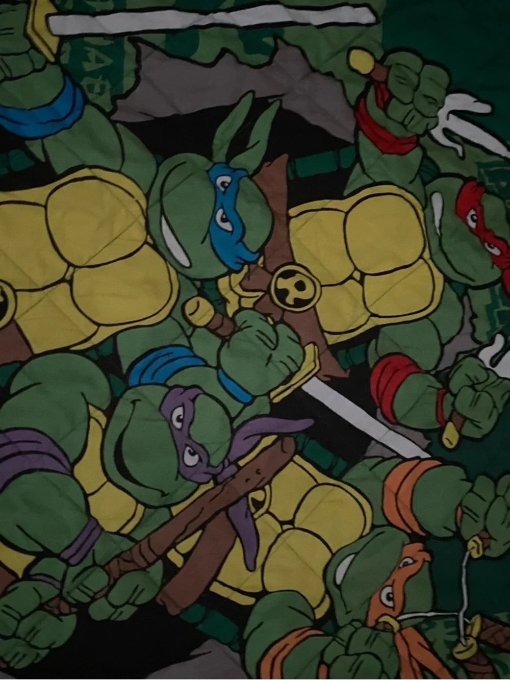 Teen Age Ninja Turtles 2015 nickelodeon